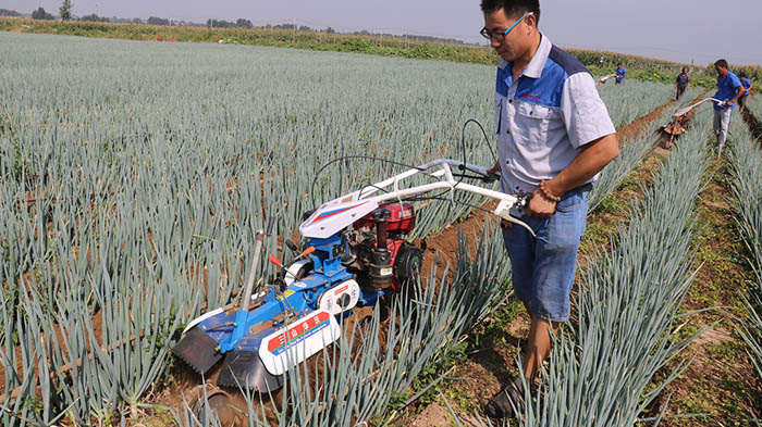 大葱开沟培土机